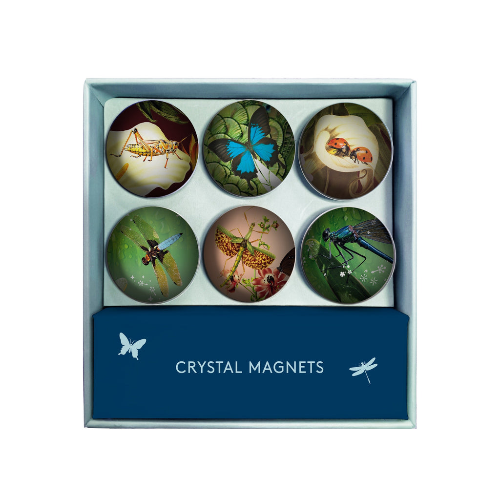 Kristallen Magneten - Tord Boontje