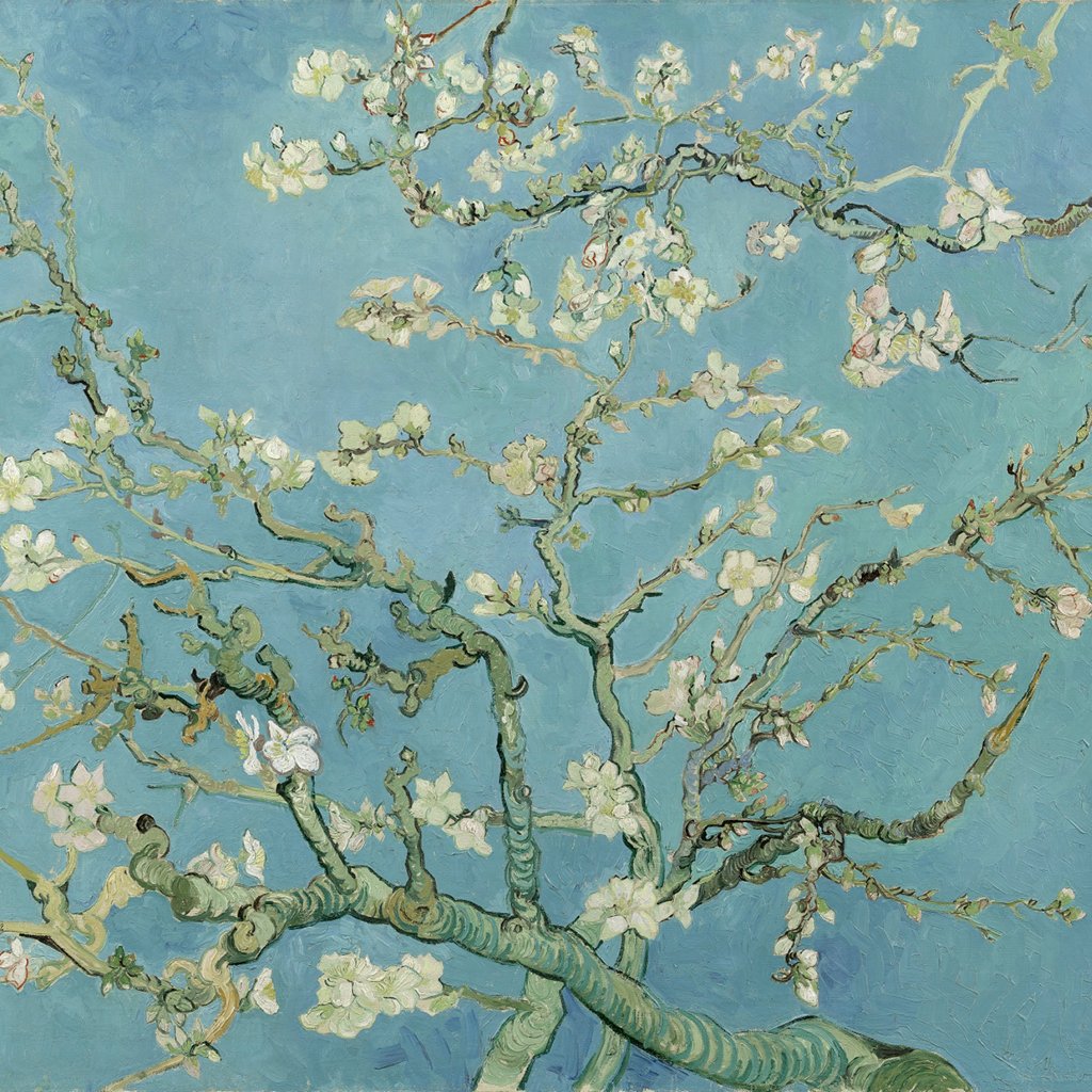 Vincent van Gogh - Van Gogh - Vincent -