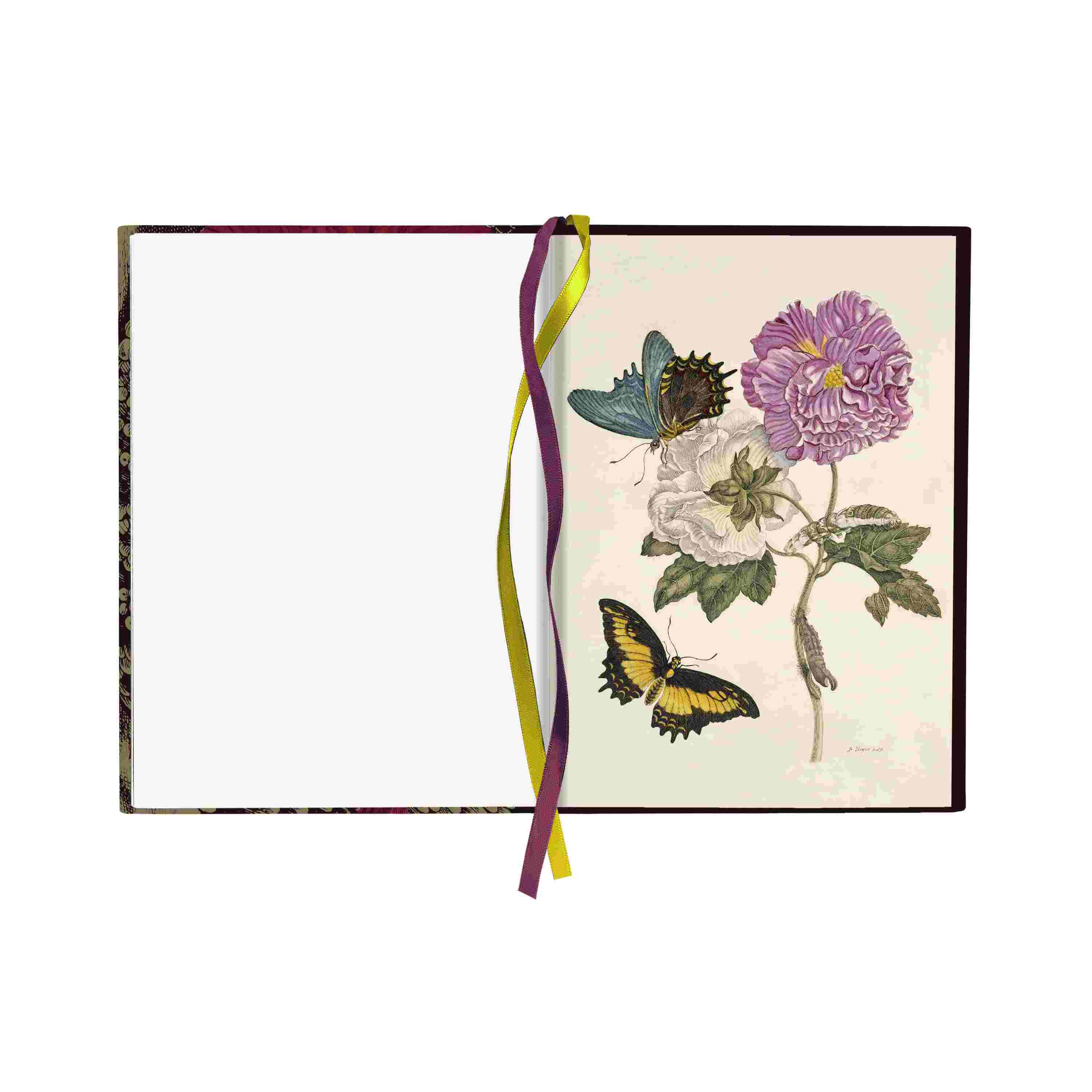 Notitieboek Vlinder & Bloemen - Maria Sibylla Merian